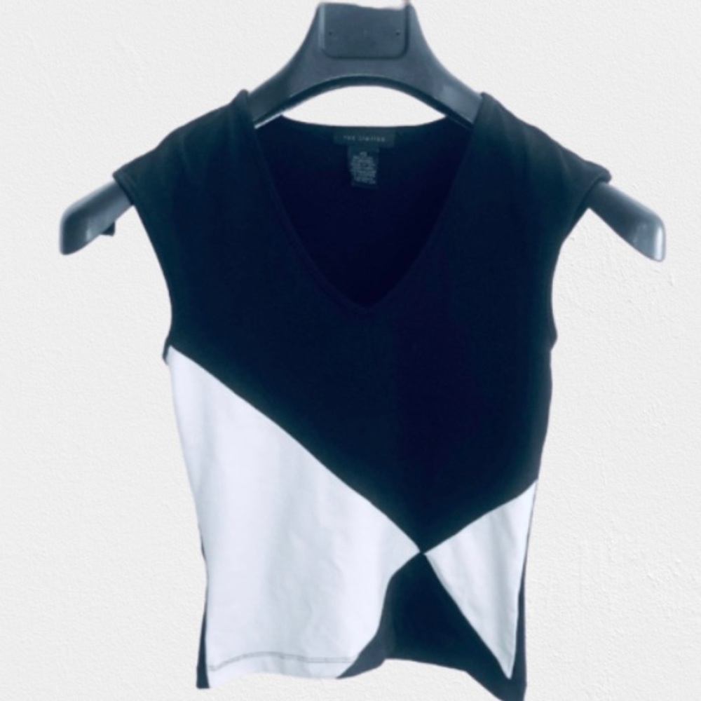 THE LIMITED fitted blouse tank